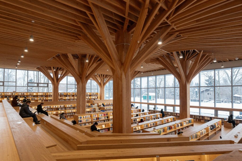 A reading hall where timber columns branch like trees into the ceiling above stepped seating.